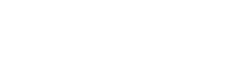 Lifeport logo wit