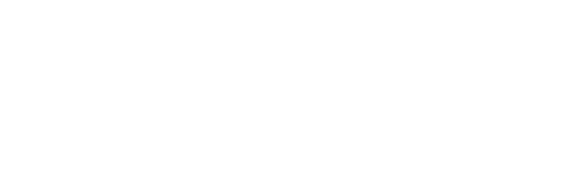 Provincie Gelderland logo wit